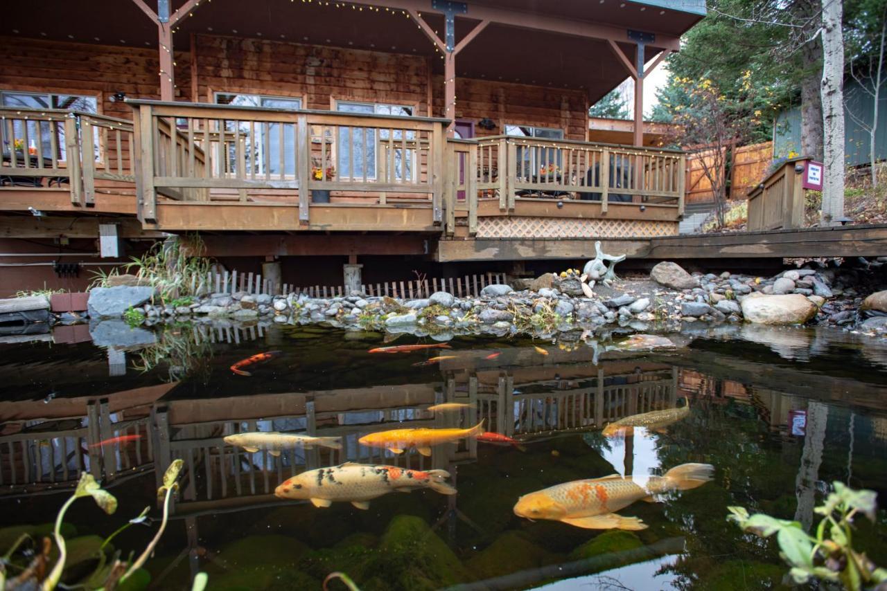 Bed and Breakfast Bear Creek Winery And Lodging Homer Exterior foto