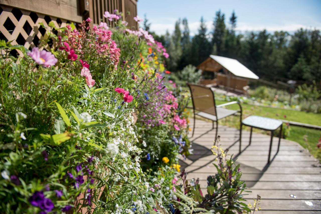 Bed and Breakfast Bear Creek Winery And Lodging Homer Exterior foto